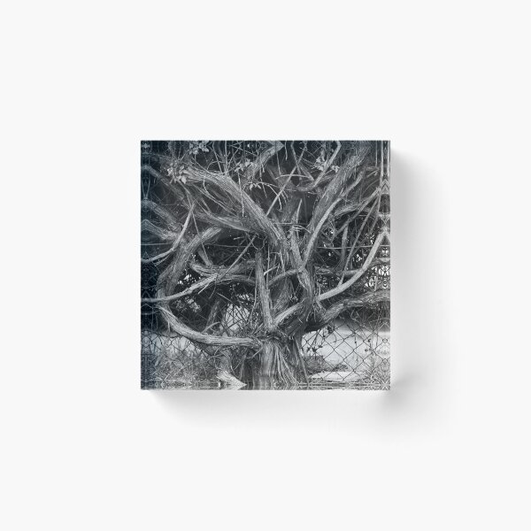Item preview, Twisted designed and sold by AnnaKT.