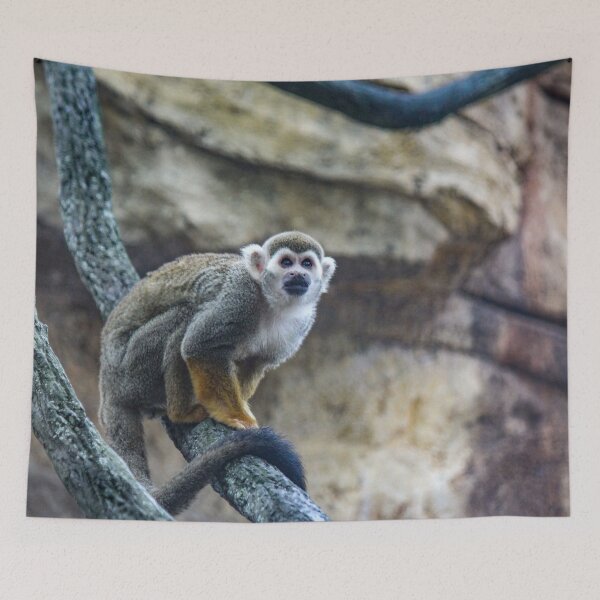 Item preview, Squirrel Monkey designed and sold by Bob Hardy.