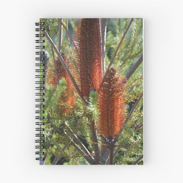 Item preview, BOTTLE BRUSH designed and sold by kazaroodie.