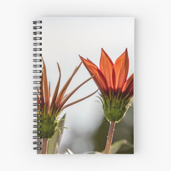 Item preview, Orange flowers in backlight on a blurred background.  designed and sold by EG Creativity Art.
