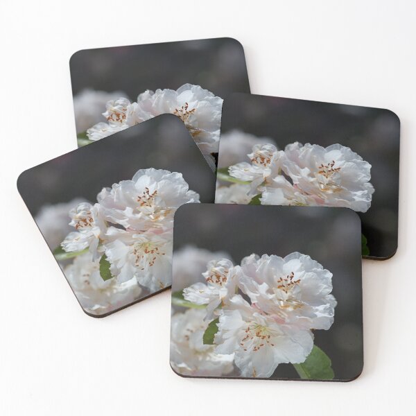 Item preview, Ageing Spring Flowers White designed and sold by Joy Watson - Natural Light Photography .