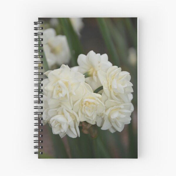 Item preview, WHITE JONQUILS designed and sold by kazaroodie.