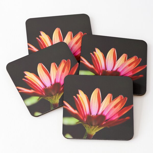 Item preview, Flower (MKW-F.123) designed and sold by Katrina Morgan.