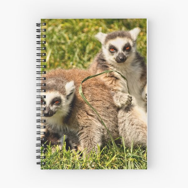 Item preview, Animal Portrait - Ringtail Lemur (2) designed and sold by Wolf Sverak Photography.