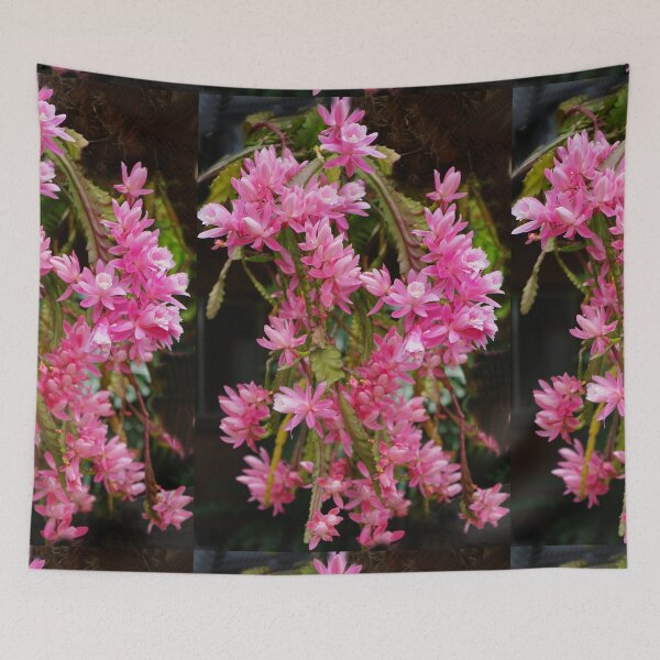 Item preview, Pink Hanging Basket Plant - Zygocactus Lilac Princess designed and sold by Geoffrey Higges.