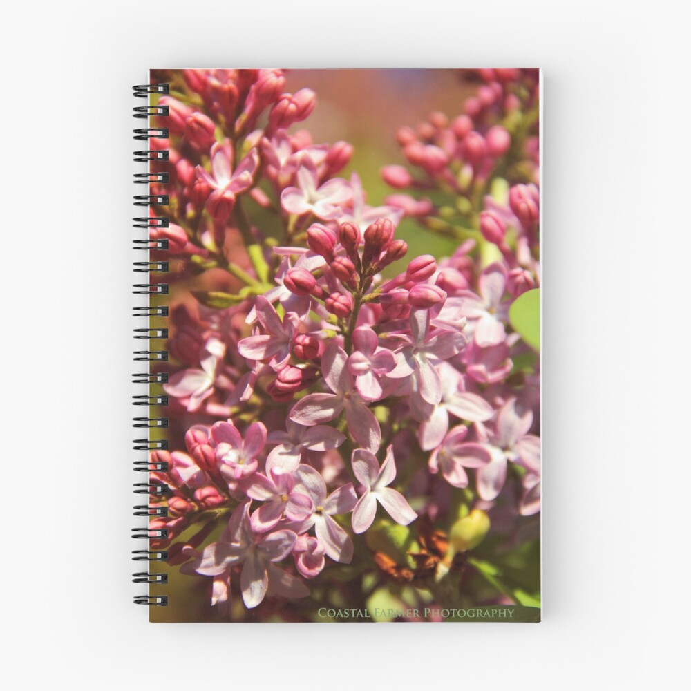 Vista previa del artículo con la obra «Cuaderno de espiral», diseñado y vendido por Boo7.