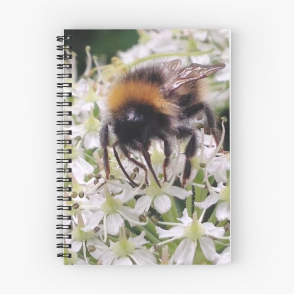 Artikelvorschau, Hummel entworfen und verkauft von cherisong.
