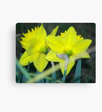 Sweet Pair Canvas Print