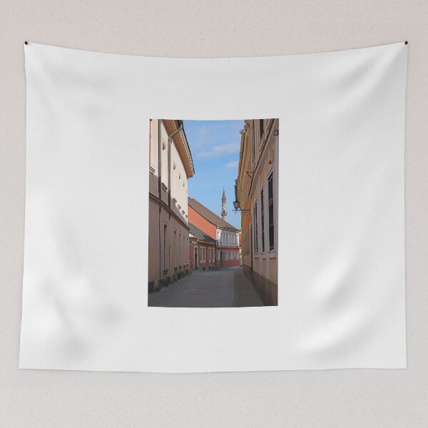 Item preview, street with old buildings and minaret Eger Hungary designed and sold by goceris.