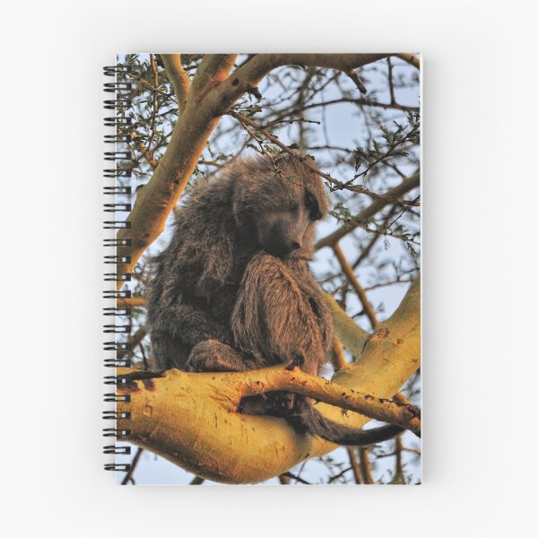 Item preview, "Contemplative" designed and sold by Andreas Koerner.