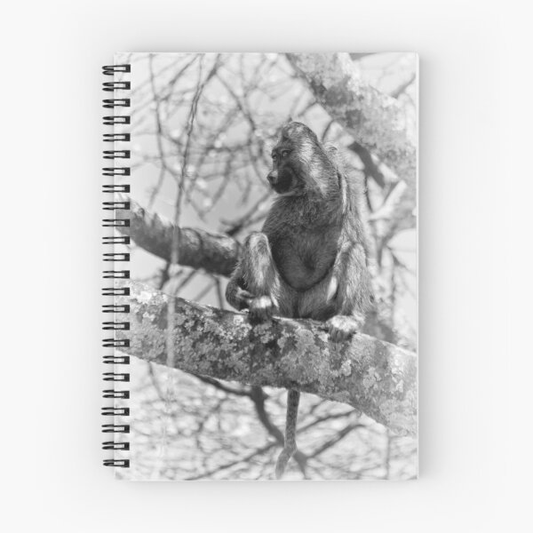 Item preview, "Surprise" (B&W) designed and sold by Andreas Koerner.