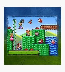 Super Mario 2 Photographic Print