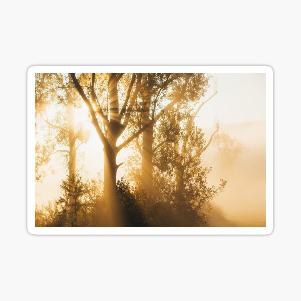 Autumn Sunrays Sticker
