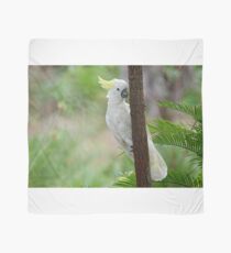 A hiding Sulphur-Crested Cockatoo Scarf