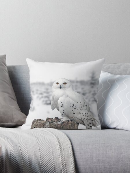 owl in the snow Throw Pillow