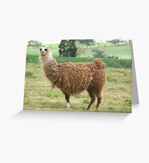 Gracie Greeting Card
