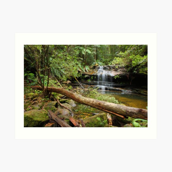 Falls along Terrace Walk, Hazelbrook Art Print