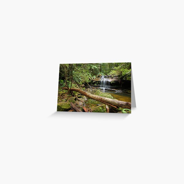 Falls along Terrace Walk, Hazelbrook Greeting Card