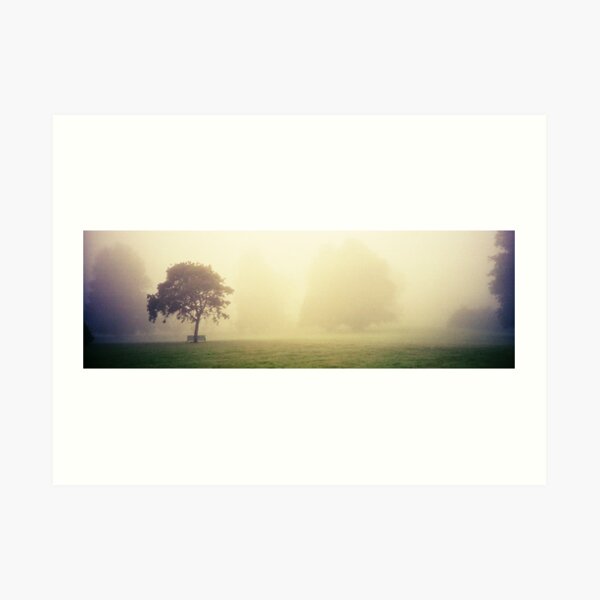 Kilkenny Fog Art Print