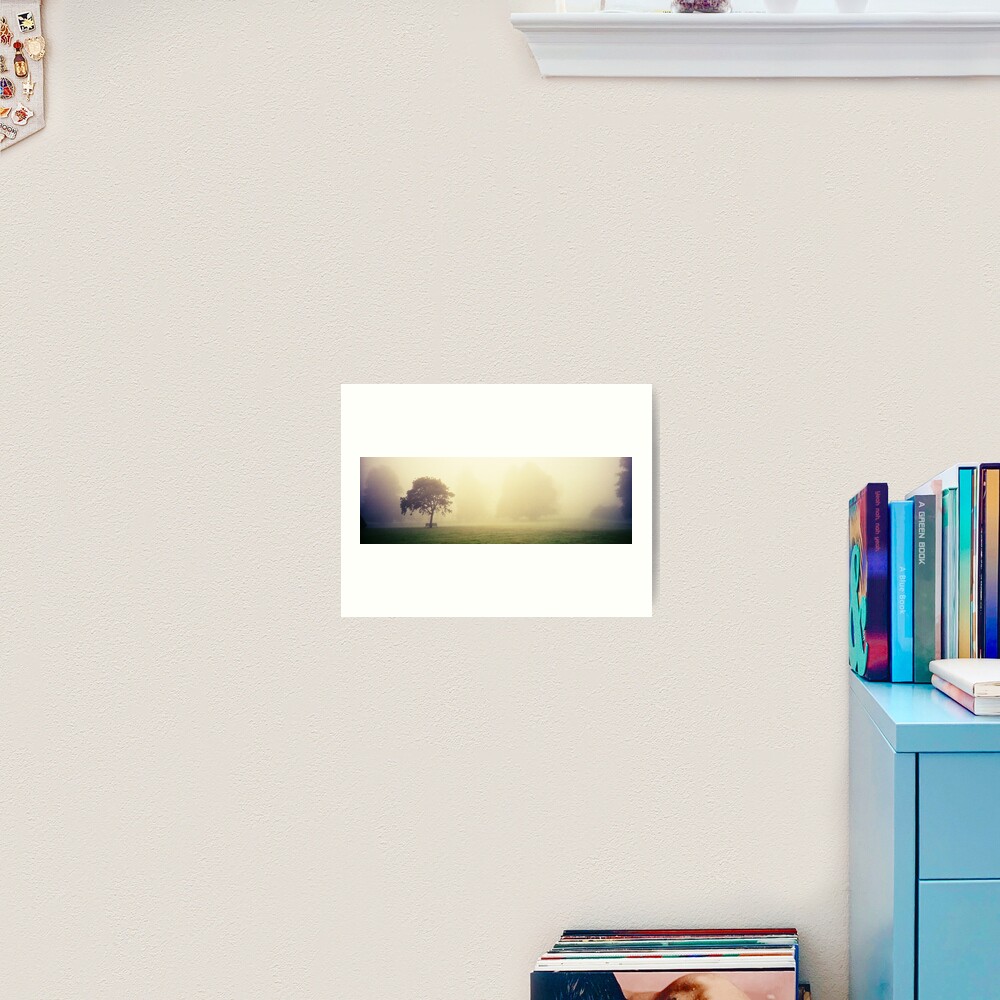 Kilkenny Fog Art Print