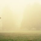 Kilkenny Fog by cormacphelan