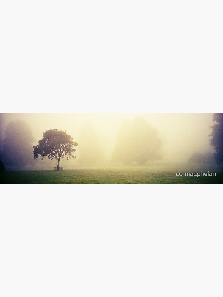 Kilkenny Fog by cormacphelan