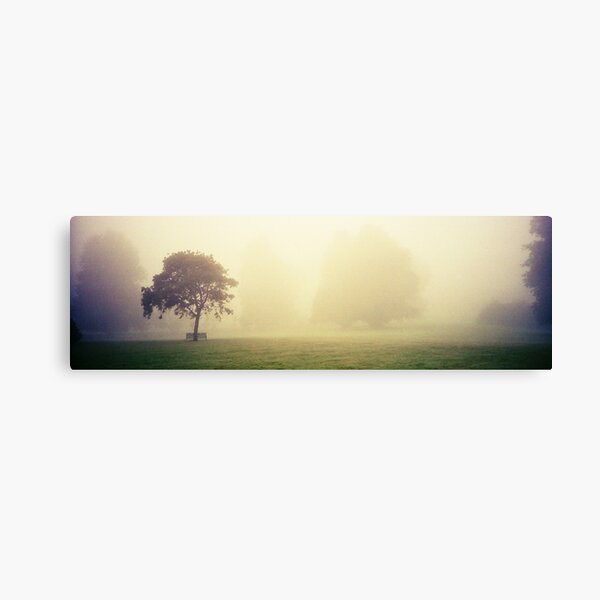 Kilkenny Fog Canvas Print
