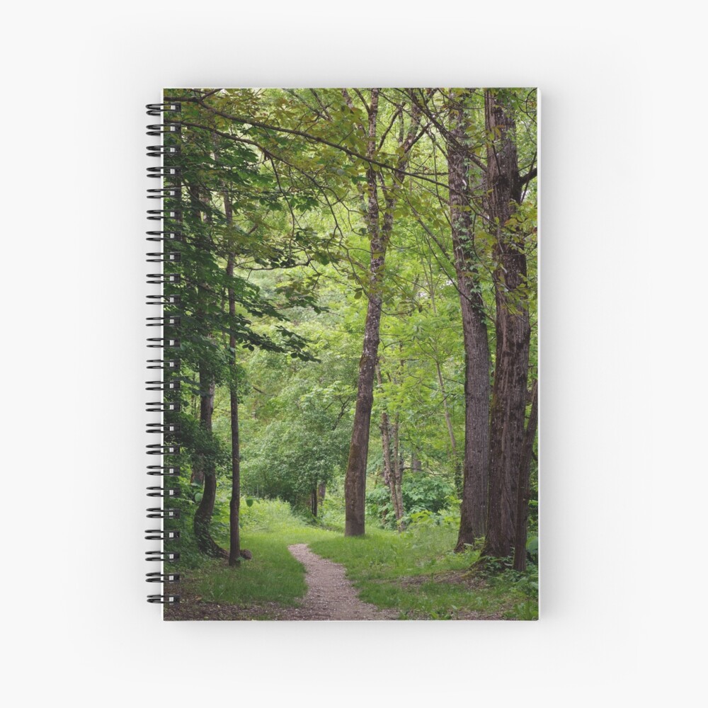 Item preview, Spiral Notebook designed and sold by patmo.