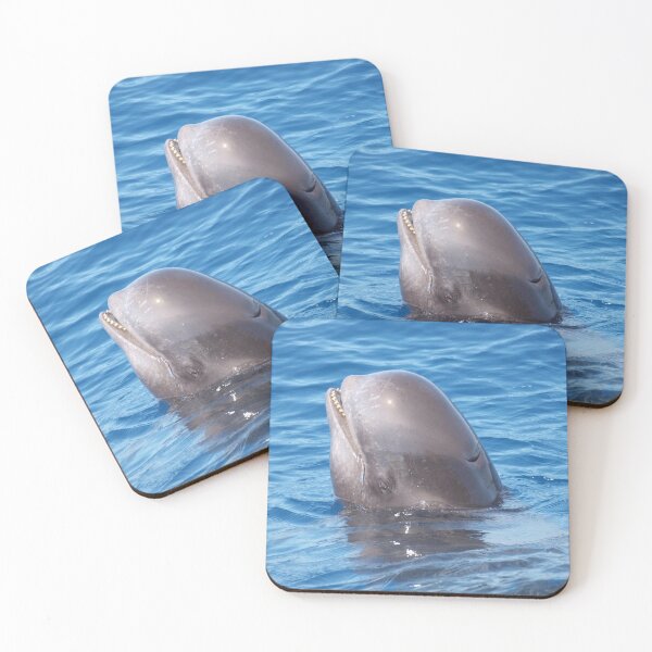 Item preview, Cute wild pilot whale baby  designed and sold by Chloé Yzoard.