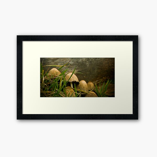 Framed Print