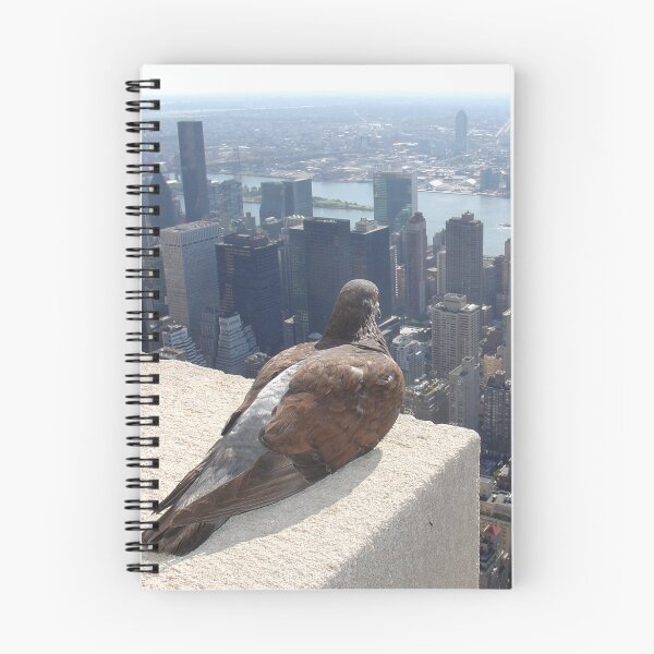 Item preview, Empire State Pigeon designed and sold by lennetfab.