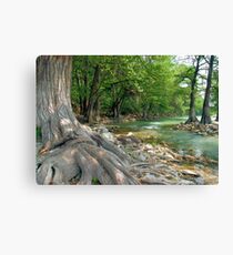 The Old Man and the River Canvas Print