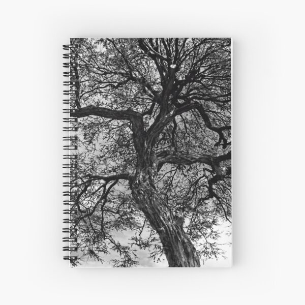 Item preview, Looking Up designed and sold by Eileen McVey.