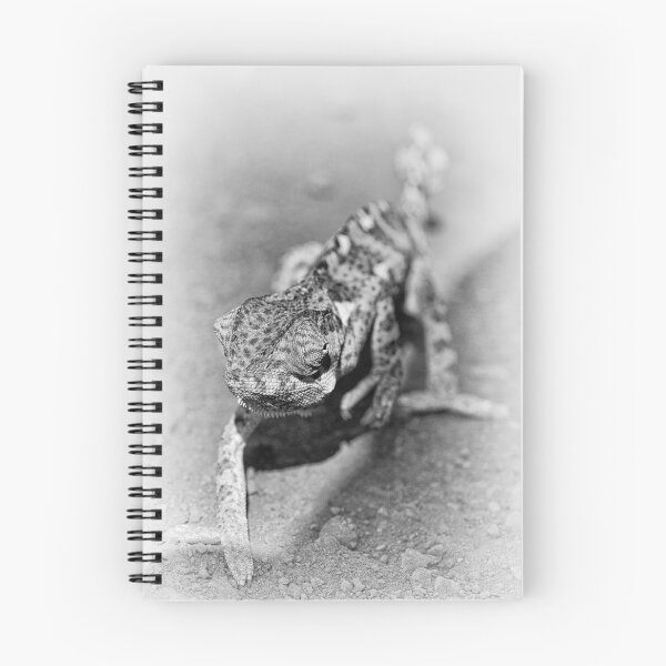 Item preview, "Walking the Line" (B&W) designed and sold by Andreas Koerner.
