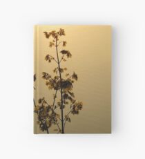 "Golden Mirrow" Hardcover Journal