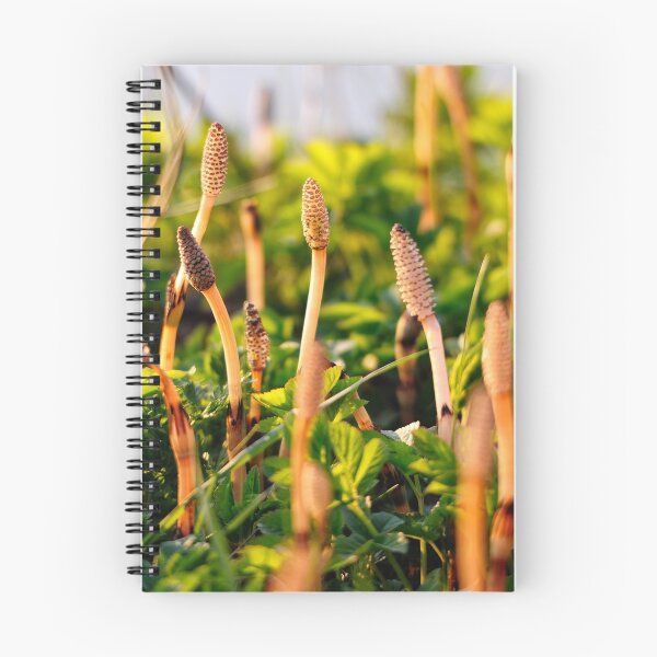 Item preview, "On the Way" designed and sold by Andreas Koerner.