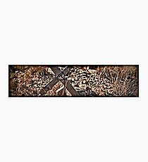 The Rosary Photographic Print
