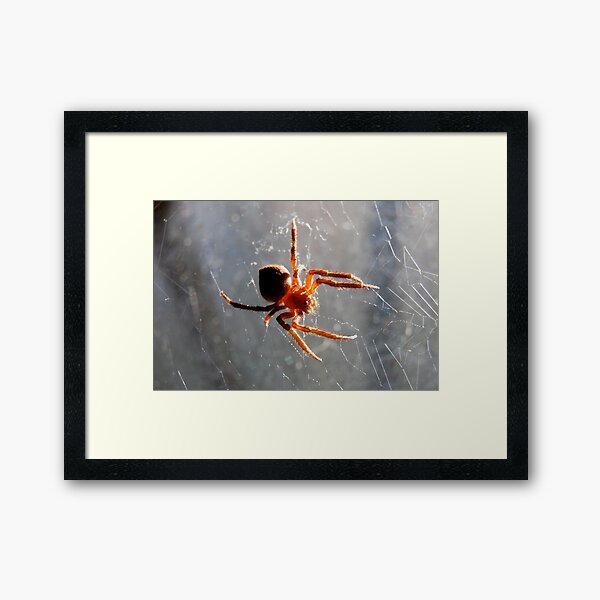 in the window Framed Art Print