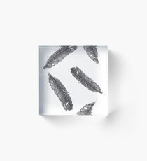 Falls plumage Acrylic Block