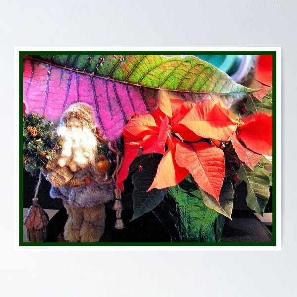 Item preview, Santa and Pointsettia Design designed and sold by kristalcurt.