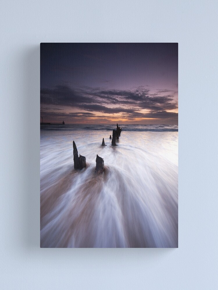 Alternate view of No rocks Canvas Print