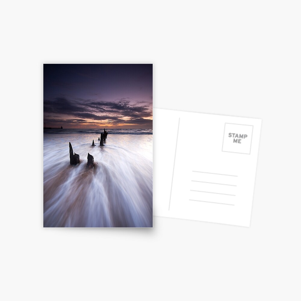 Item preview, Postcard designed and sold by tontoshorse.