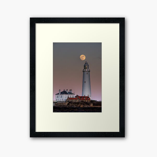 Framed Art Print