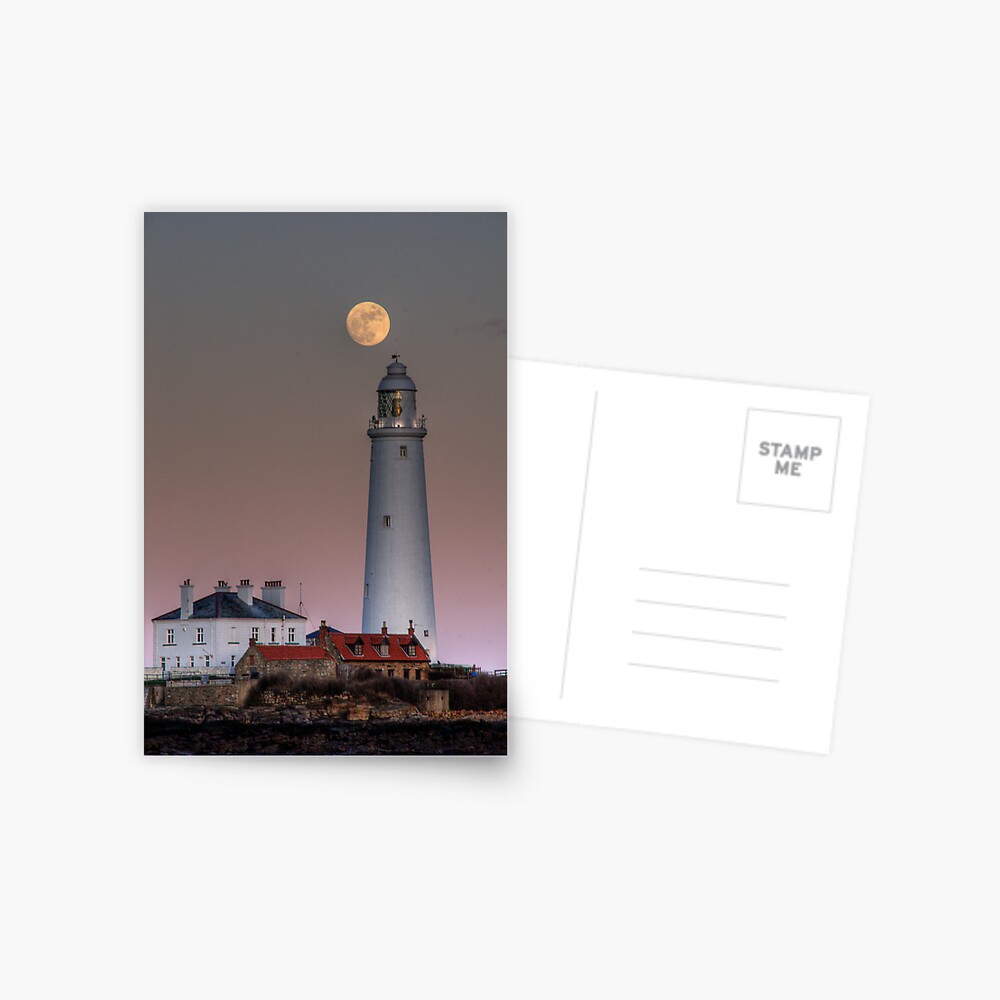 Item preview, Postcard designed and sold by tontoshorse.