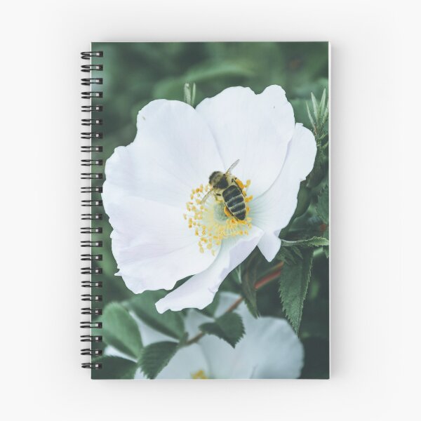 Item preview, Briar rose, Wild rose, Rosa Canina designed and sold by NBazilenco.