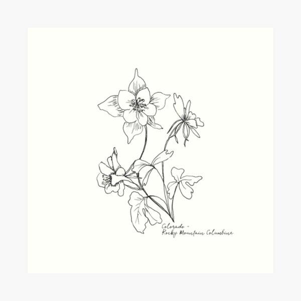 Columbine flower Vintage Hand Drawn Sketch Elements Botanical Illustrations  Decorative set 2522906 Vector Art at Vecteezy