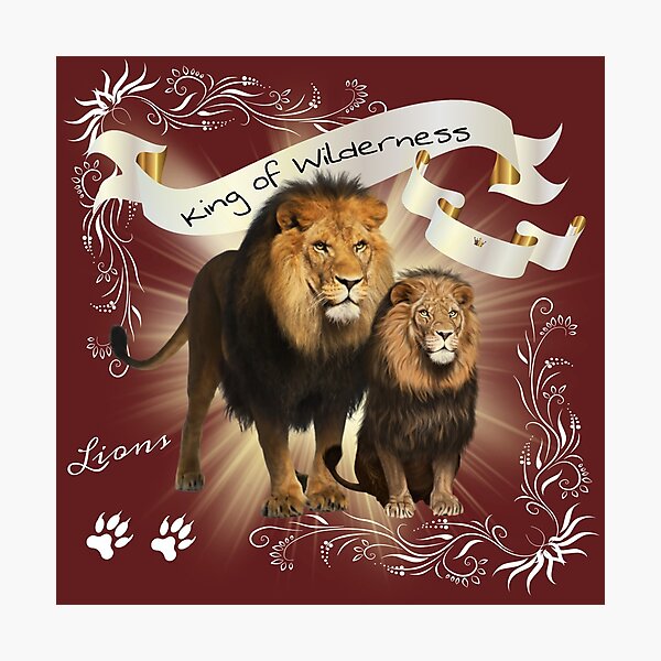Lámina fotográfica «Leones, leones pareja leones» de Bonita0105 | Redbubble