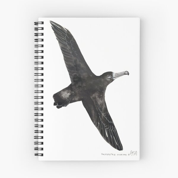 Item preview, Black-footed Albatross designed and sold by KureAtoll.