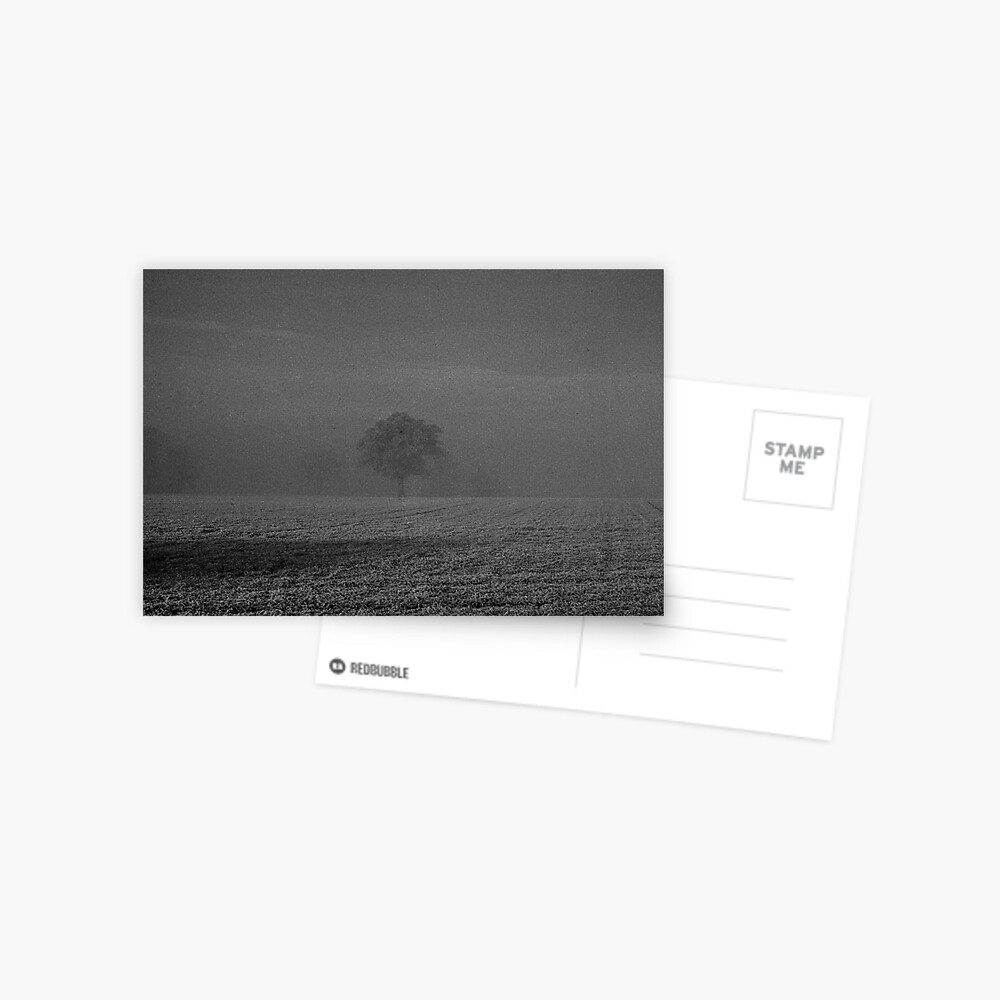 Item preview, Postcard designed and sold by hidden-design.