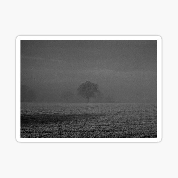 Foggy Tree Sticker